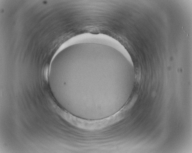 X0000087700047200706011755