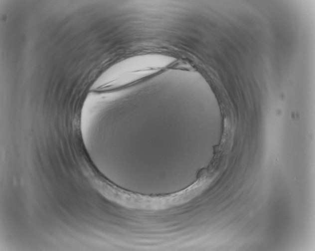 X0000087700048200706011755