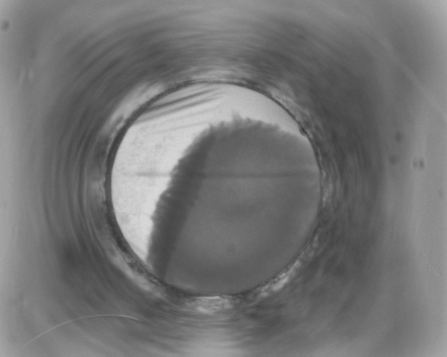 X0000087700050200706011755