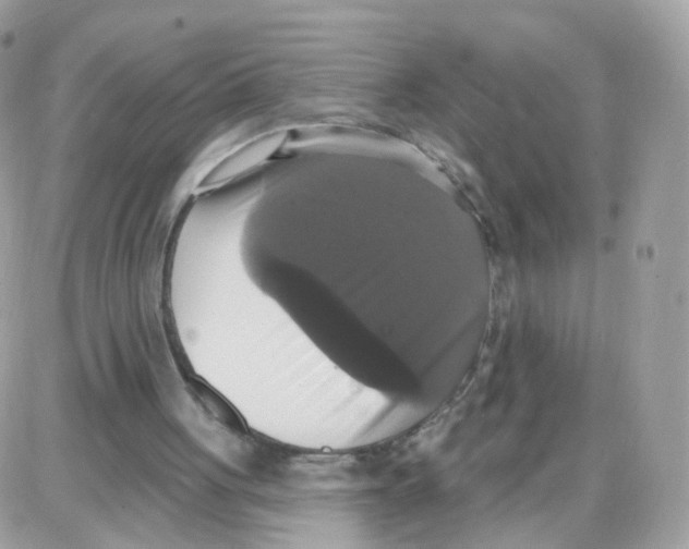 X0000087700051200706011755