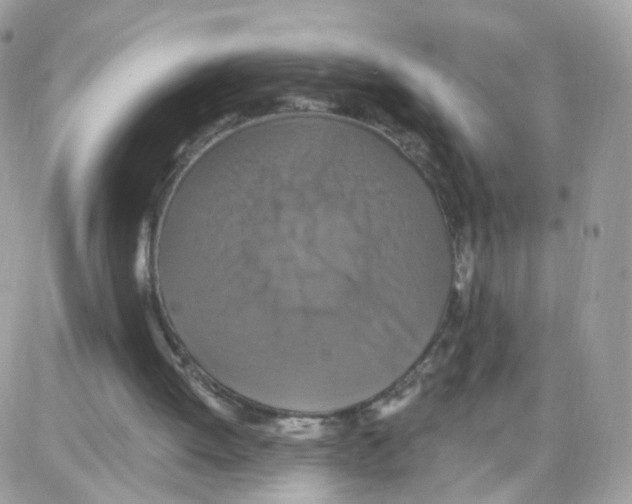 X0000087700052200706011755