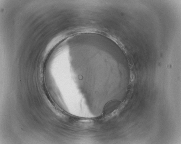 X0000087700053200706011755