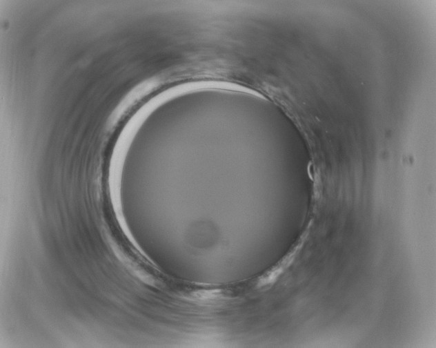 X0000087700054200706011755