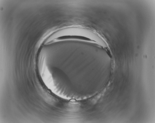 X0000087700055200706011755