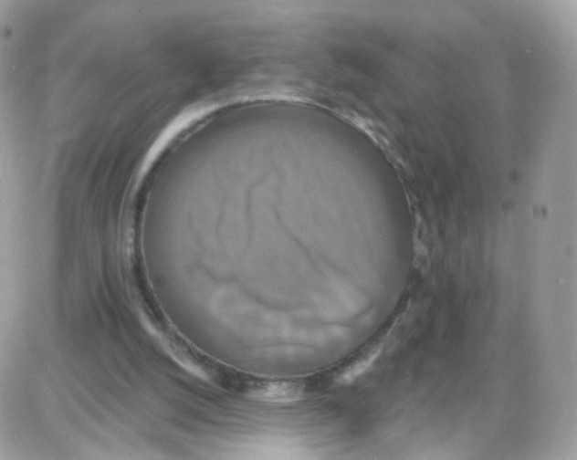 X0000087700056200706011755