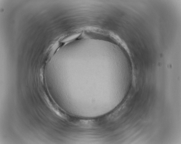 X0000087700057200706011755