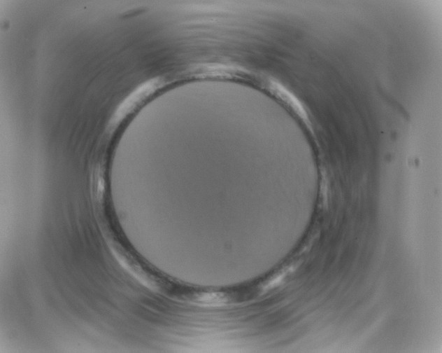 X0000087700059200706011755