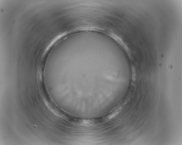 X0000087700060200706011755