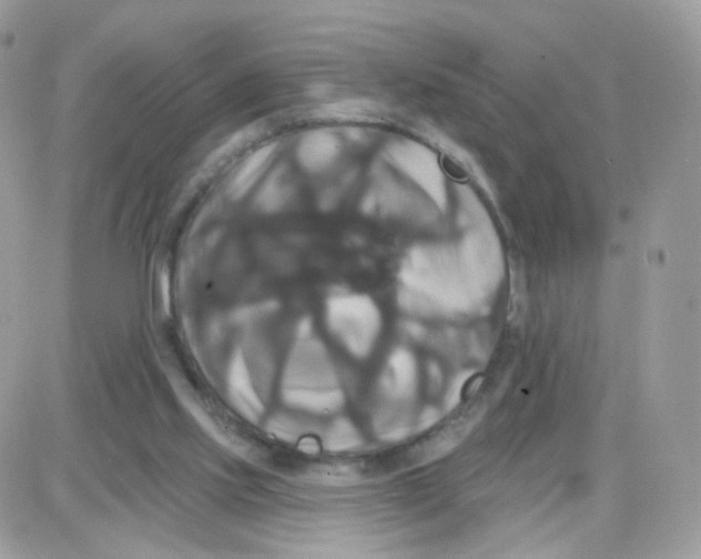 X0000087700061200706011755