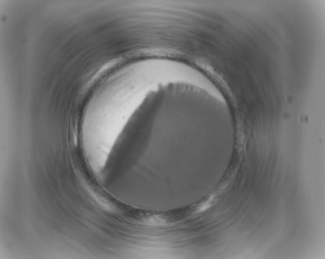 X0000087700062200706011755