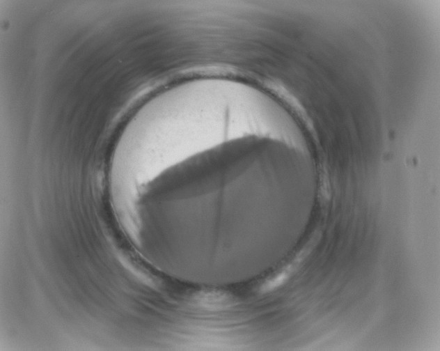 X0000087700063200706011755