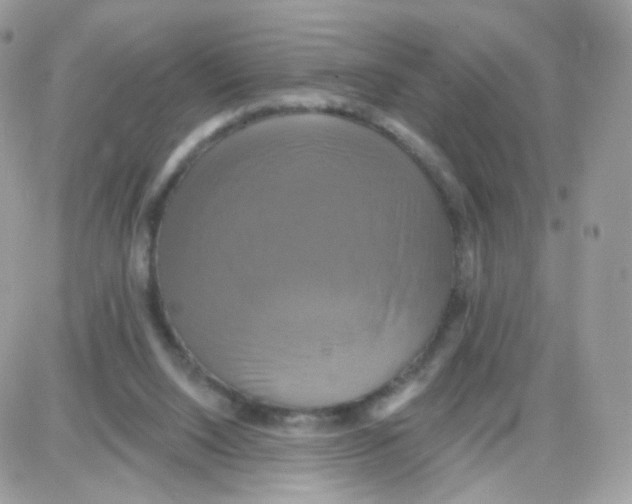 X0000087700064200706011755