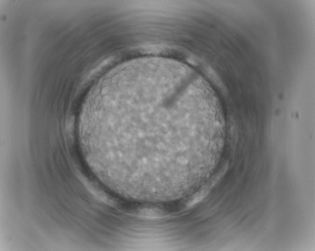 X0000087700066200706011755