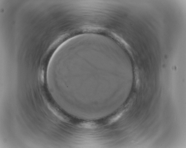 X0000087700067200706011755