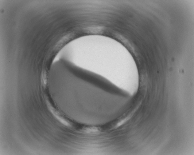 X0000087700069200706011755