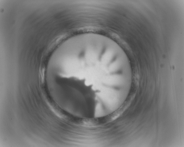 X0000087700070200706011755