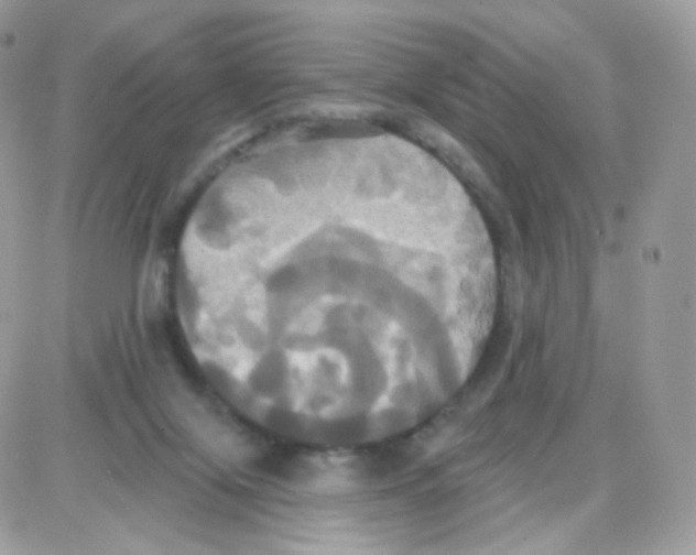 X0000087700071200706011755