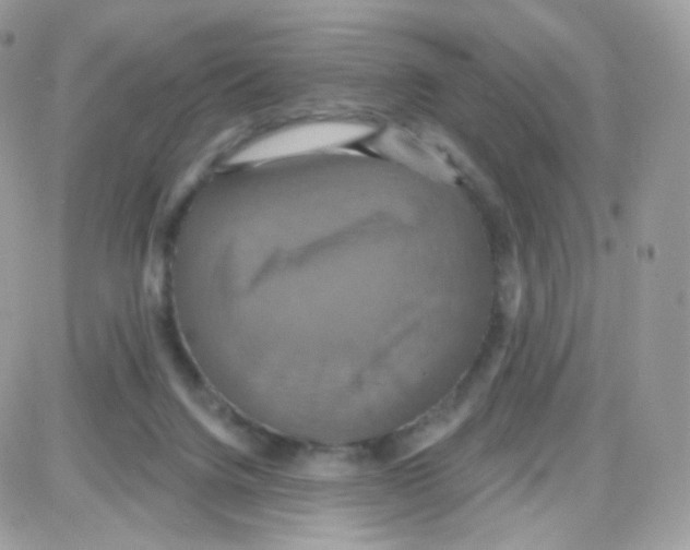 X0000087700072200706011755