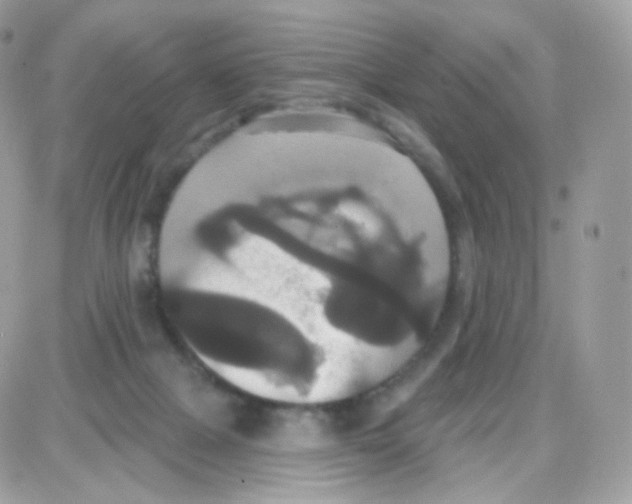 X0000087700073200706011755