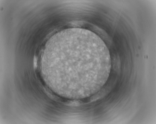 X0000087700075200706011755