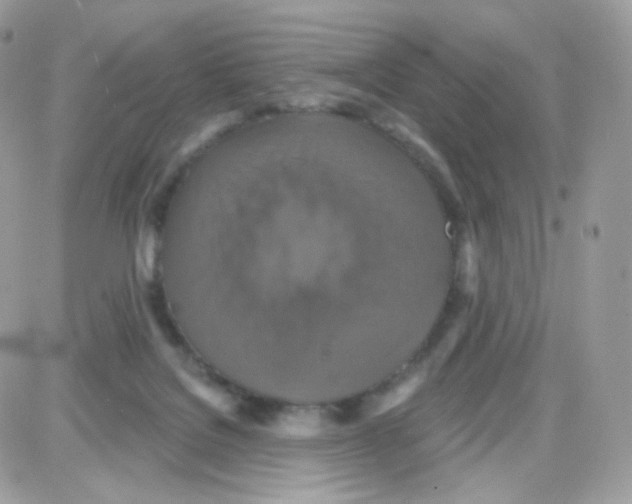 X0000087700076200706011755