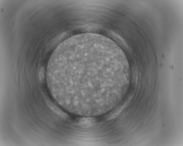 X0000087700077200706011755