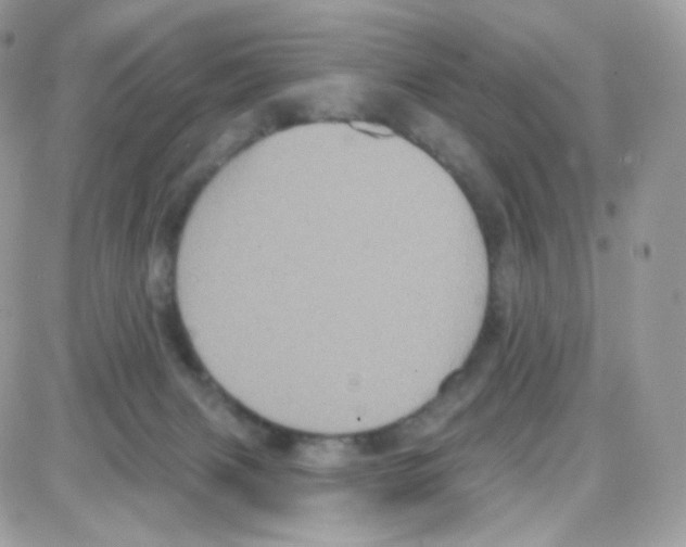 X0000087700079200706011755