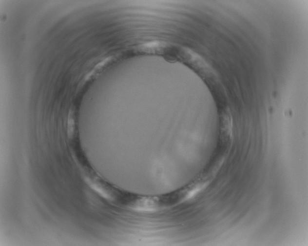 X0000087700080200706011755