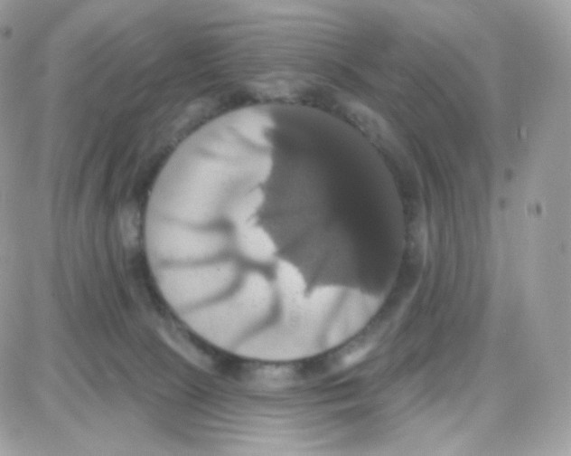 X0000087700081200706011755