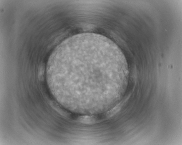 X0000087700082200706011755