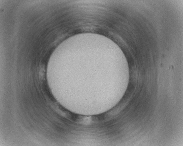 X0000087700083200706011755