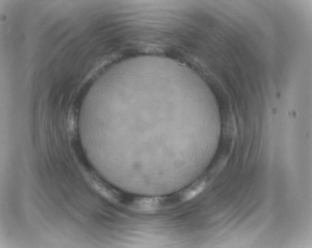 X0000087700084200706011755