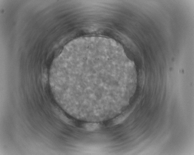 X0000087700085200706011755