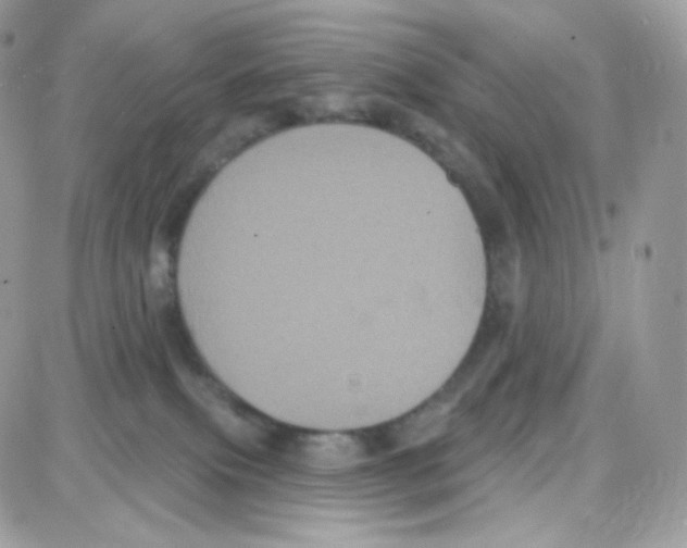 X0000087700087200706011755