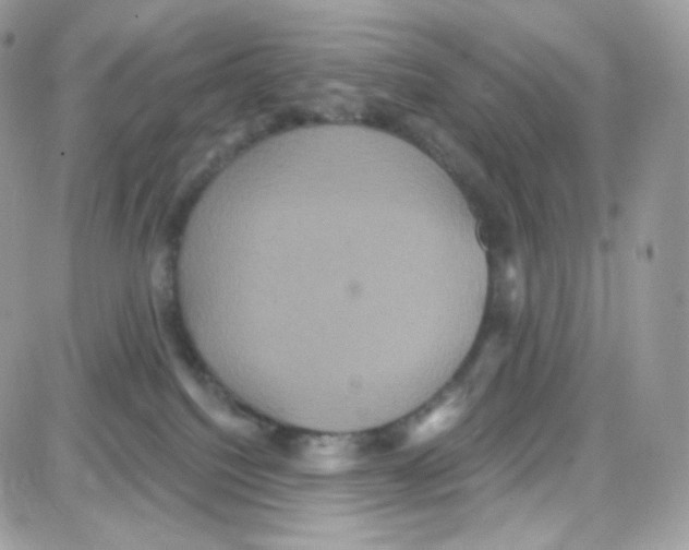 X0000087700088200706011755