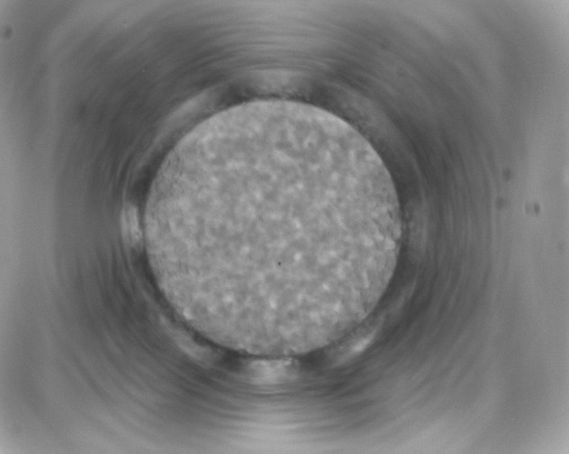 X0000087700089200706011755