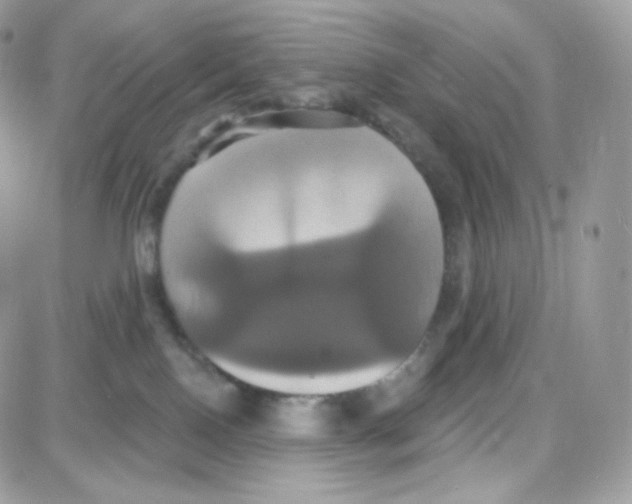 X0000087700090200706011755