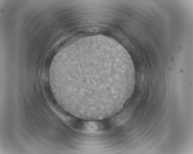 X0000087700091200706011755