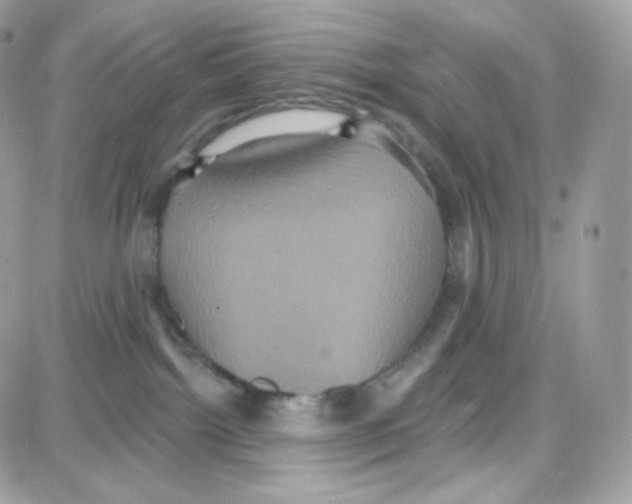 X0000087700092200706011755