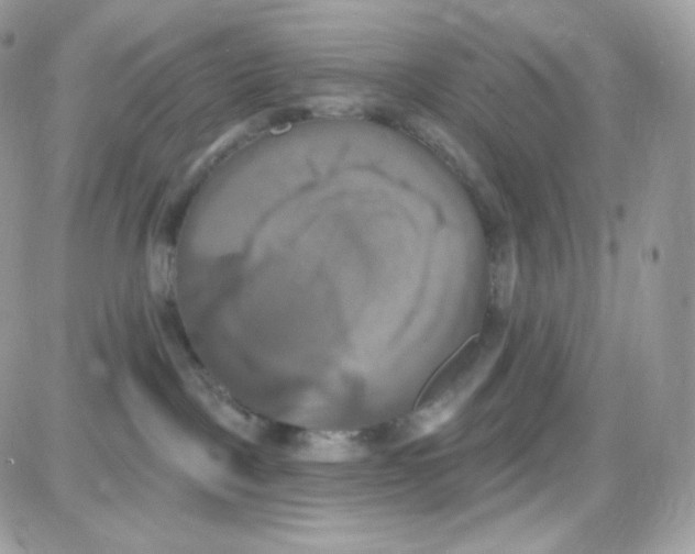 X0000087700093200706011755