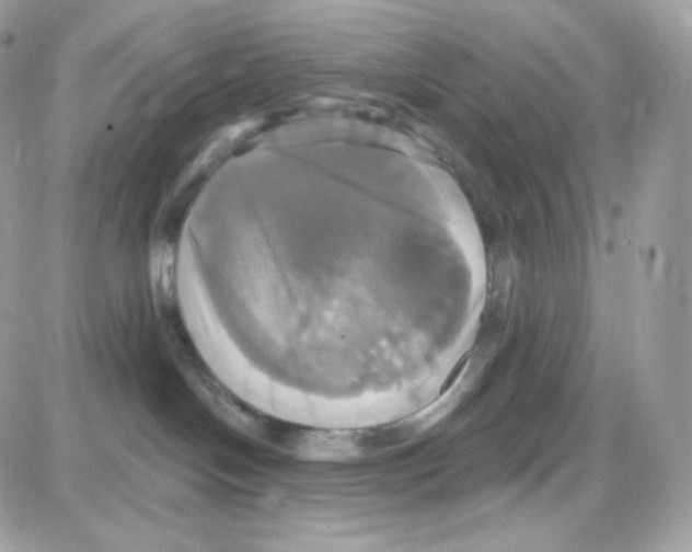 X0000087700094200706011755