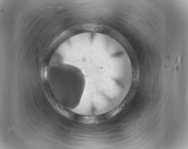 X0000087700095200706011755