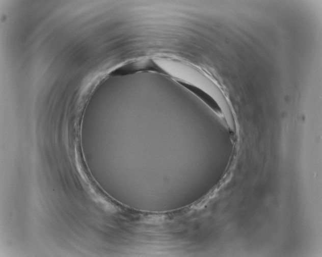 X0000087700097200706011755