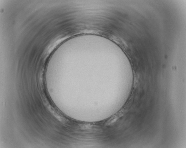 X0000087700098200706011755