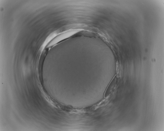 X0000087700099200706011755