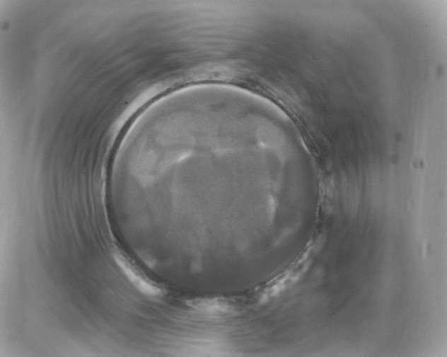 X0000087700100200706011755