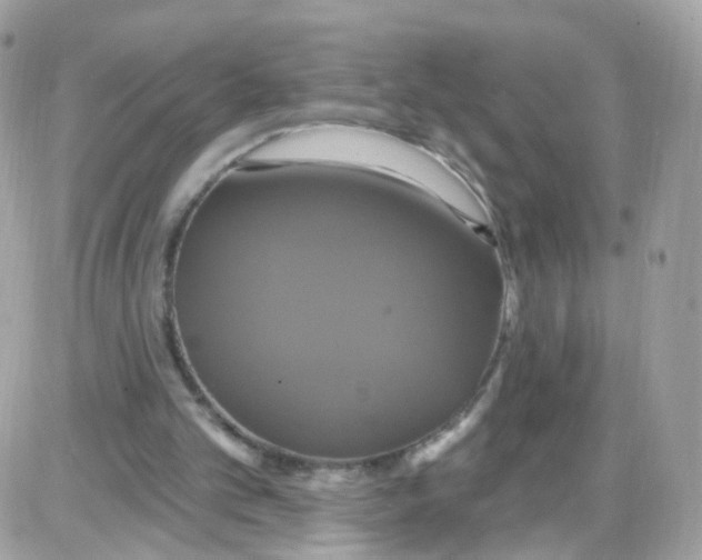 X0000087700101200706011755