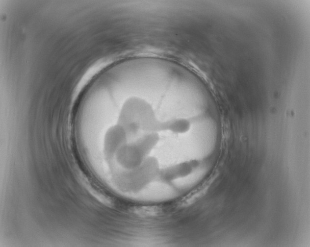 X0000087700102200706011755