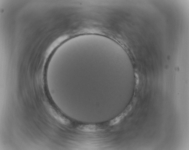 X0000087700104200706011755