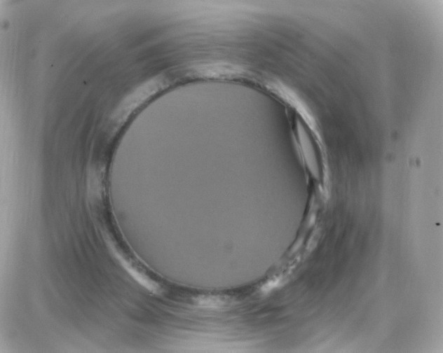 X0000087700105200706011755